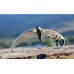 Нож Cold Steel Tiger фикс. клинок сталь AUS8 рукоять пластик Нож Cold Steel Tiger фикс. клинок сталь AUS8 рукоять пластик
