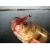 Приманка Crazy Fish Vibro worm 3,4" 12-85-M56-6