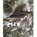 Куртка Cosmo-tex Трансформер детский FL1123-5 122 Куртка Cosmo-tex Трансформер детский FL1123-5 122