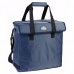 Сумка изотермическая Camping World Snowbag 30L