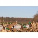 Подсадная утка Flambeau Full Body Mallard комплект 6шт. Подсадная утка Flambeau Full Body Mallard комплект 6шт.