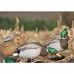 Подсадная утка Flambeau Full Body Mallard комплект 6шт. Подсадная утка Flambeau Full Body Mallard комплект 6шт.