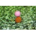 Бойлы Dynamite Baits Hardened the crave fluro 15мм Бойлы Dynamite Baits Hardened the crave fluro 15мм