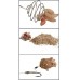 Клипса для опарыша и пасты Prologic 3D Maggot Clip 6шт Клипса для опарыша и пасты Prologic 3D Maggot Clip 6шт