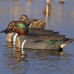 Подсадная утка чирок Flambeau Classic Green Wing Teal комплект 6шт Подсадная утка чирок Flambeau Classic Green Wing Teal комплект 6шт