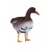 Подсадной гусь North Way Soft plast белолобый набор 10шт Подсадной гусь North Way Soft plast белолобый набор 10шт