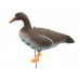 Подсадной гусь North Way Soft plast белолобый набор 10шт Подсадной гусь North Way Soft plast белолобый набор 10шт