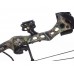 Лук блочный Bear Apprentice 3 RH Realtree RTH Лук блочный Bear Apprentice 3 RH Realtree RTH