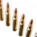 Патрон 30-06Sprg Sellier&Bellot 9.7 SPCE 1/20 Патрон 30-06Sprg Sellier&Bellot 9.7 SPCE 1/20