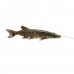 Воблер Savage Gear 4D Line thru pike 25см 105гр SS 01 striped pike Воблер Savage Gear 4D Line thru pike 25см 105гр SS 01 striped pike