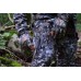 Брюки Sitka Equinox optifade elevated Брюки Sitka Equinox optifade elevated