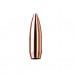 Патрон 223Rem RWS Target elite plus 4,47г