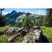 Прицел Nikon Prostaff 7 1-4x24 M IL R4D Прицел Nikon Prostaff 7 1-4x24 M IL R4D