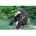 Куртка ХСН Active черный/хаки