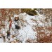 Куртка Seeland Polar realtree APS