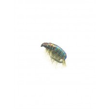 Мушка Vania Fly Fishing 758T №12 1/12 Мушка Vania Fly Fishing 758T №12 1/12