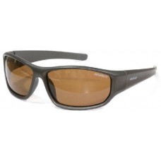 Очки Nautilus Amaro N7202 PL brown Очки Nautilus Amaro N7202 PL brown
