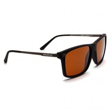 Очки Nautilus Cimone N5602 PL brown Очки Nautilus Cimone N5602 PL brown
