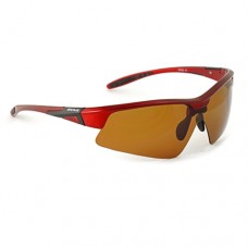Очки Nautilus Vettore N7502 PL brown