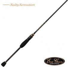 Спиннинг Ever Green Salty sensation PSSS-84T 1,5-18гр
